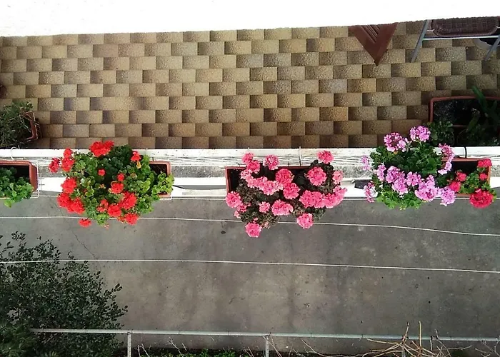 בית הארחה Ivka מאקרסקה