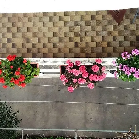 Pensionat Ivka Makarska